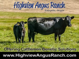 Highview Angus Ranch Enterprise Oregon