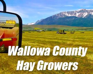 Wallowa County Hay Growers